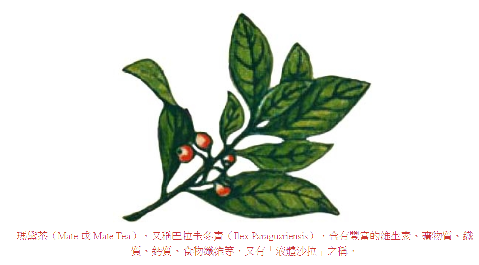 擷取